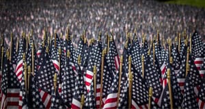 Crowd of American flags as far as the eye can see